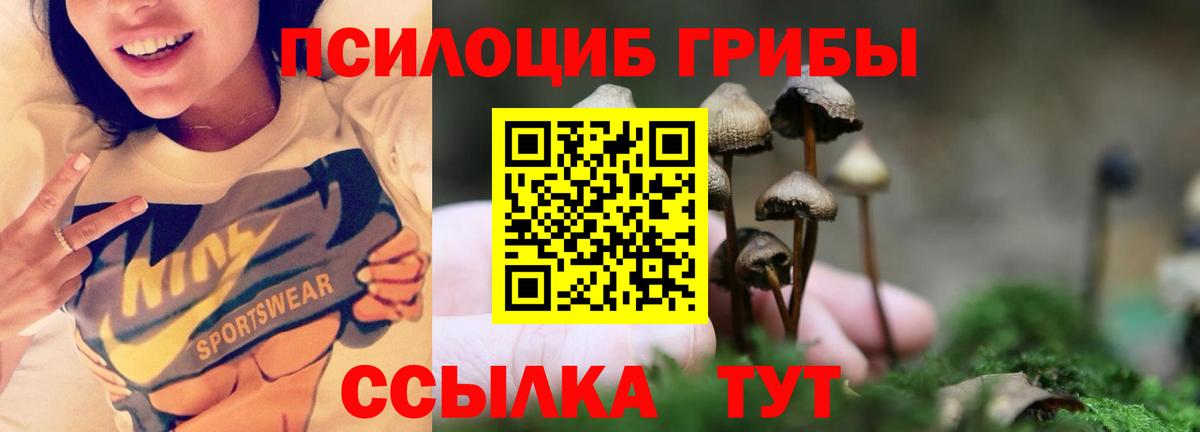 Галлюциногенные грибы Cubensis  Псилоцибиновые грибы мицелий  Ефремов  Вход с VPN 